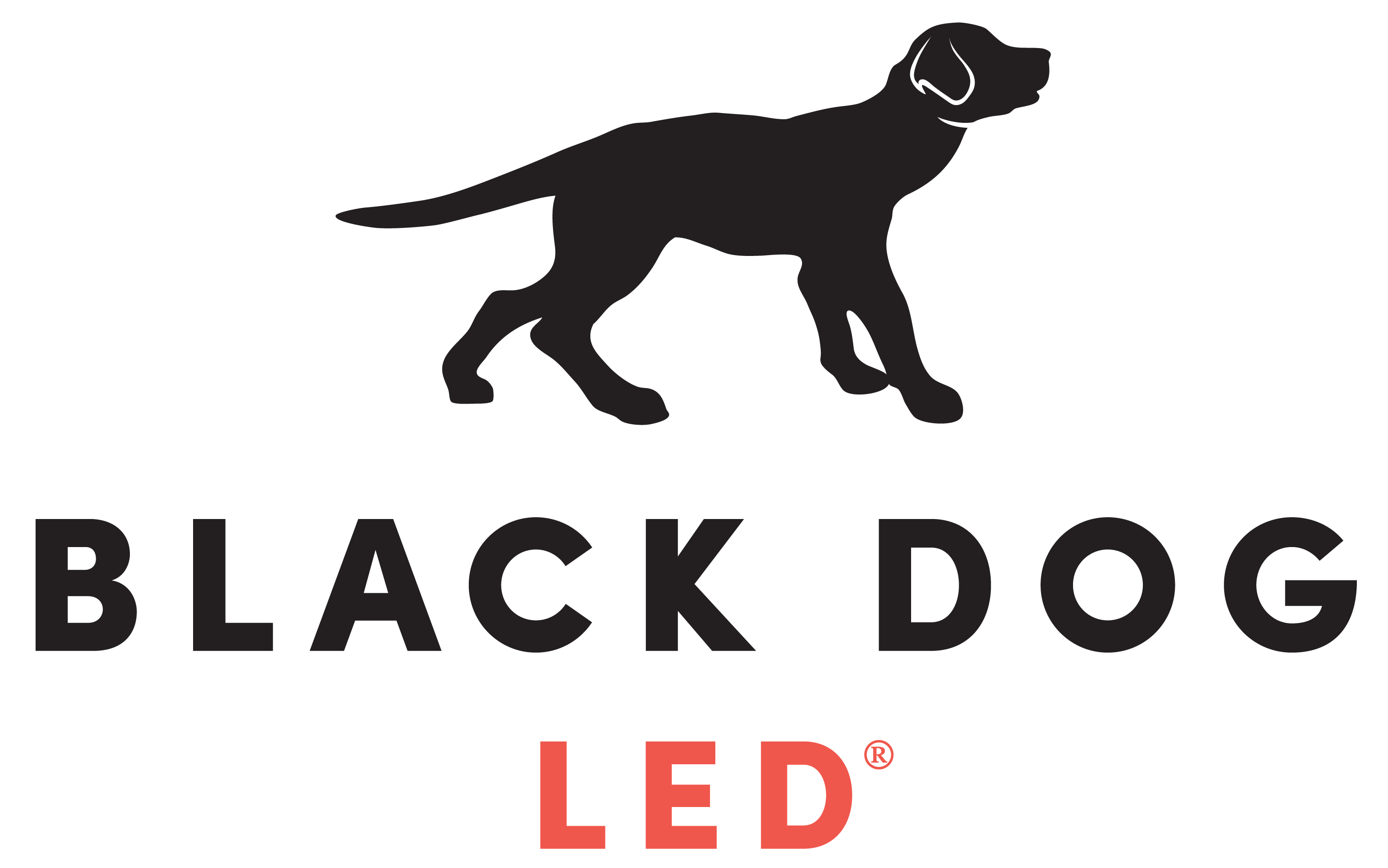 Black Dog LED