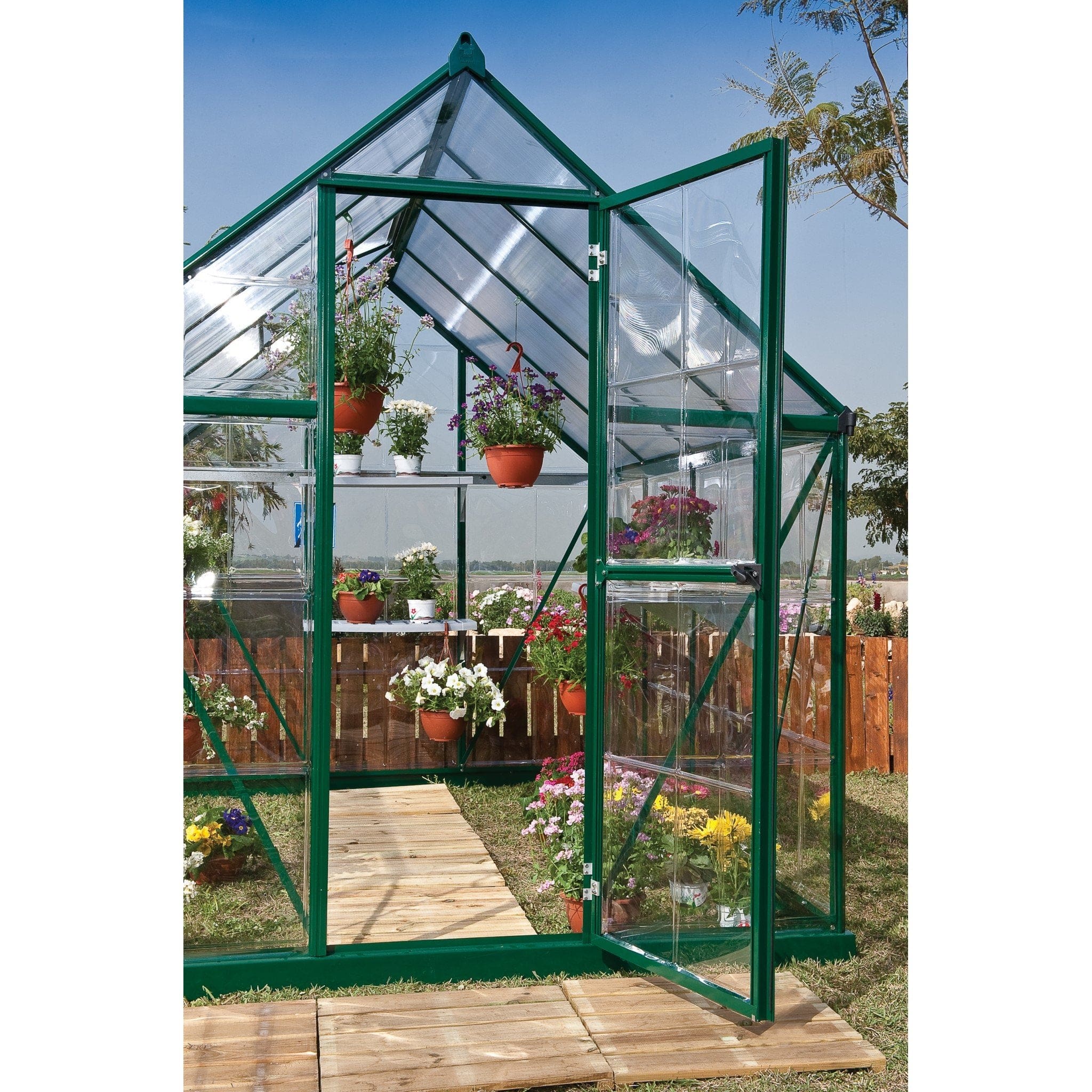 Palram - Canopia | 6x6 Ft Hybrid Greenhouse Kit - Green With 0.8mm Polycarbonate Glazing