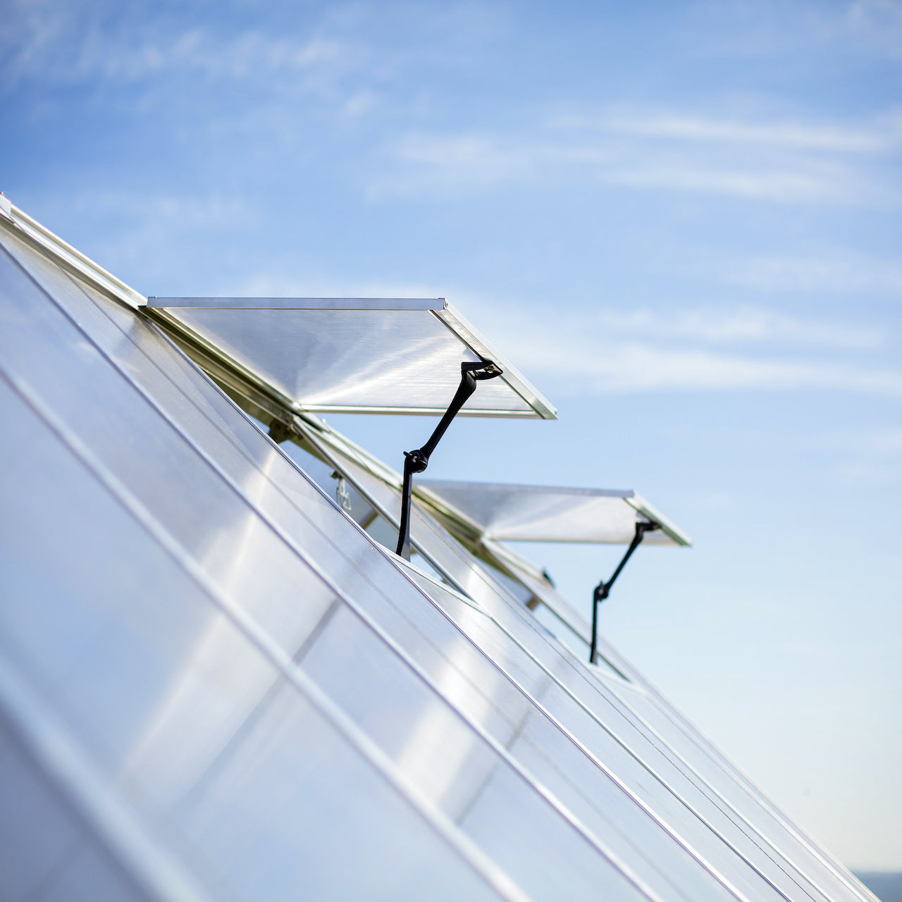 Palram - Canopia | Balance Greenhouse Kit With Clear 0.8mm Polycarbonate Glazing