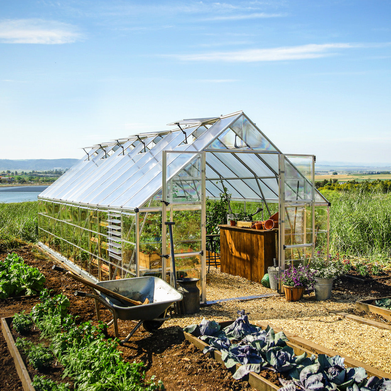 Palram - Canopia | Balance Greenhouse Kit With Clear 0.8mm Polycarbonate Glazing