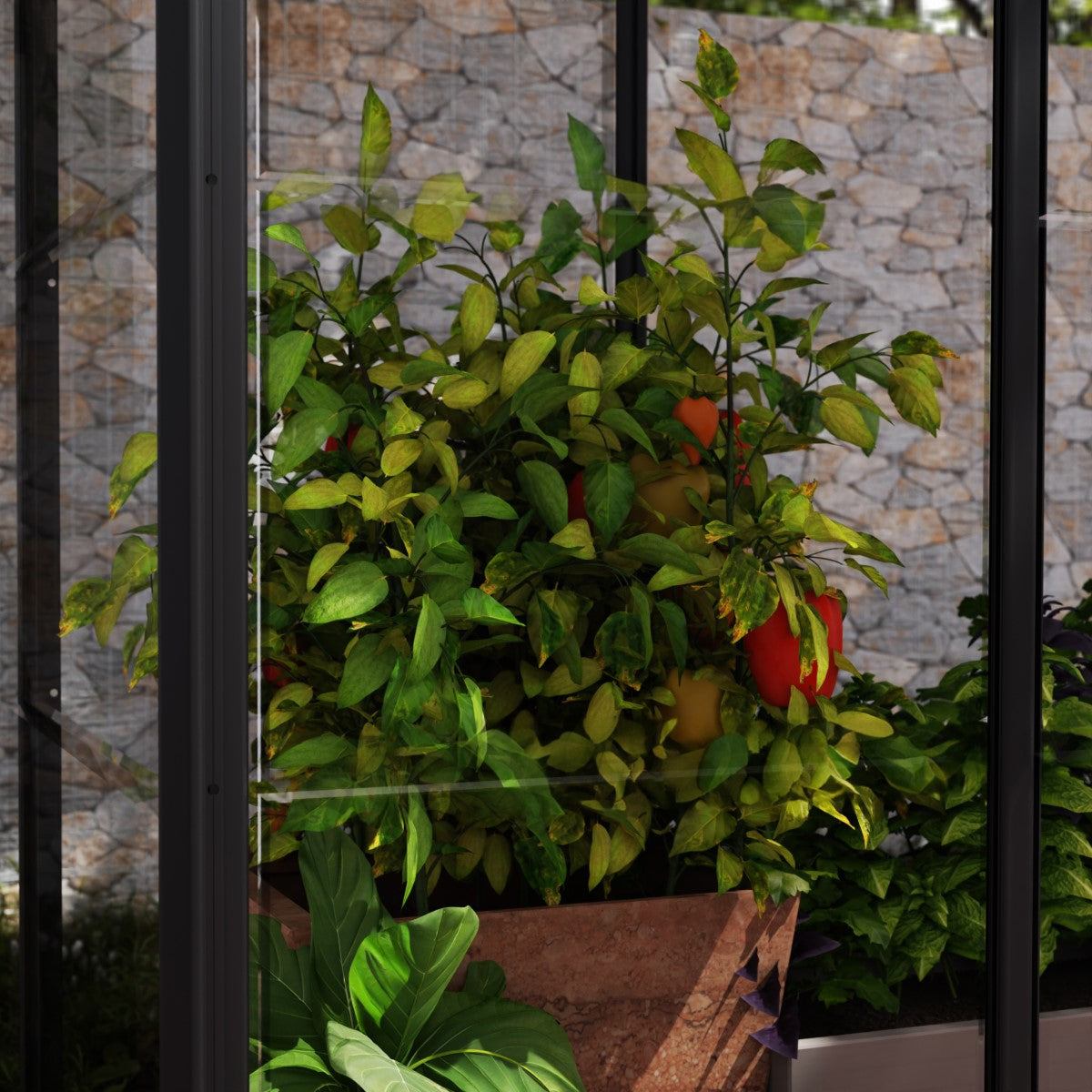 Palram - Canopia | Ivy 4x2 ft. Mini Greenhouse Kit - Black Frame with Clear Polycarbonate Glazing