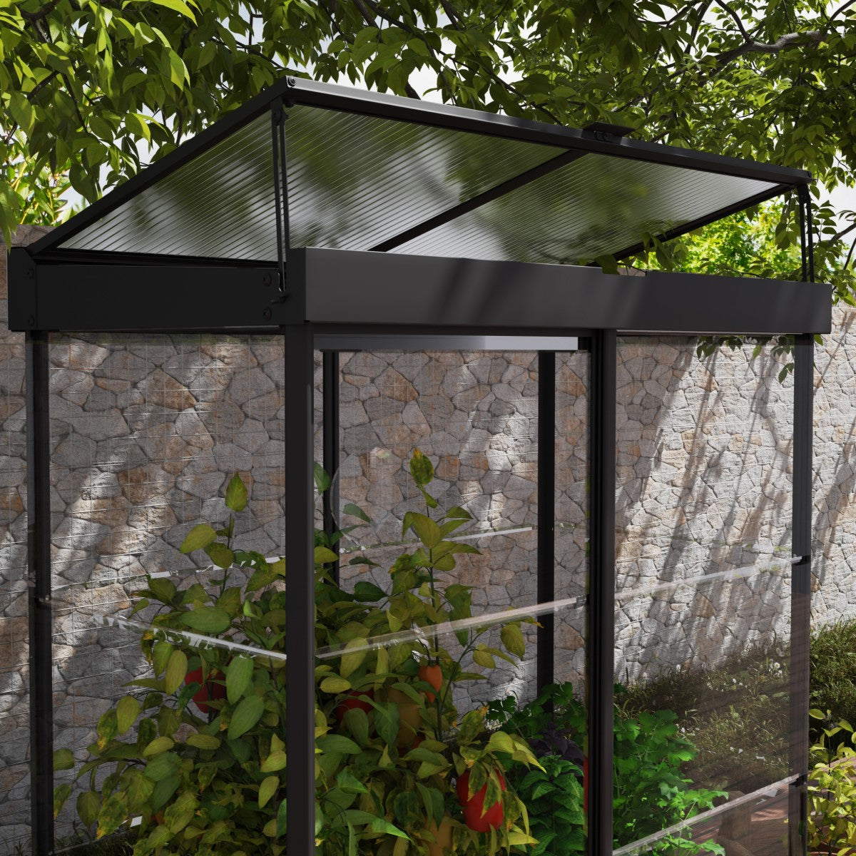 Palram - Canopia | Ivy 4x2 ft. Mini Greenhouse Kit - Black Frame with Clear Polycarbonate Glazing