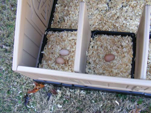 Snap Lock by Formex Standard Chicken Coop (STDCOOP)