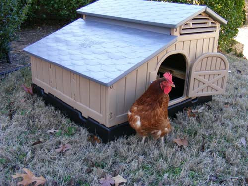 Snap Lock by Formex Standard Chicken Coop (STDCOOP)