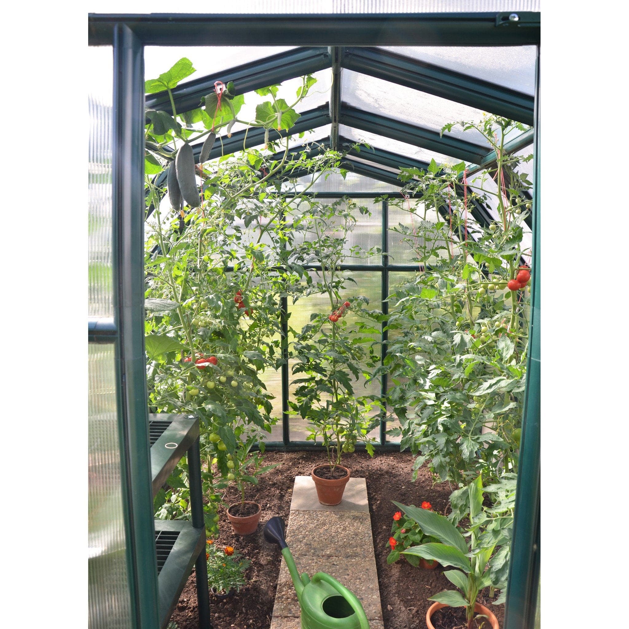 Palram - Canopia | EcoGrow Greenhouse Kit - 6 Ft Wide - Green With 6mm Twin-wall Polycarbonate Glazing