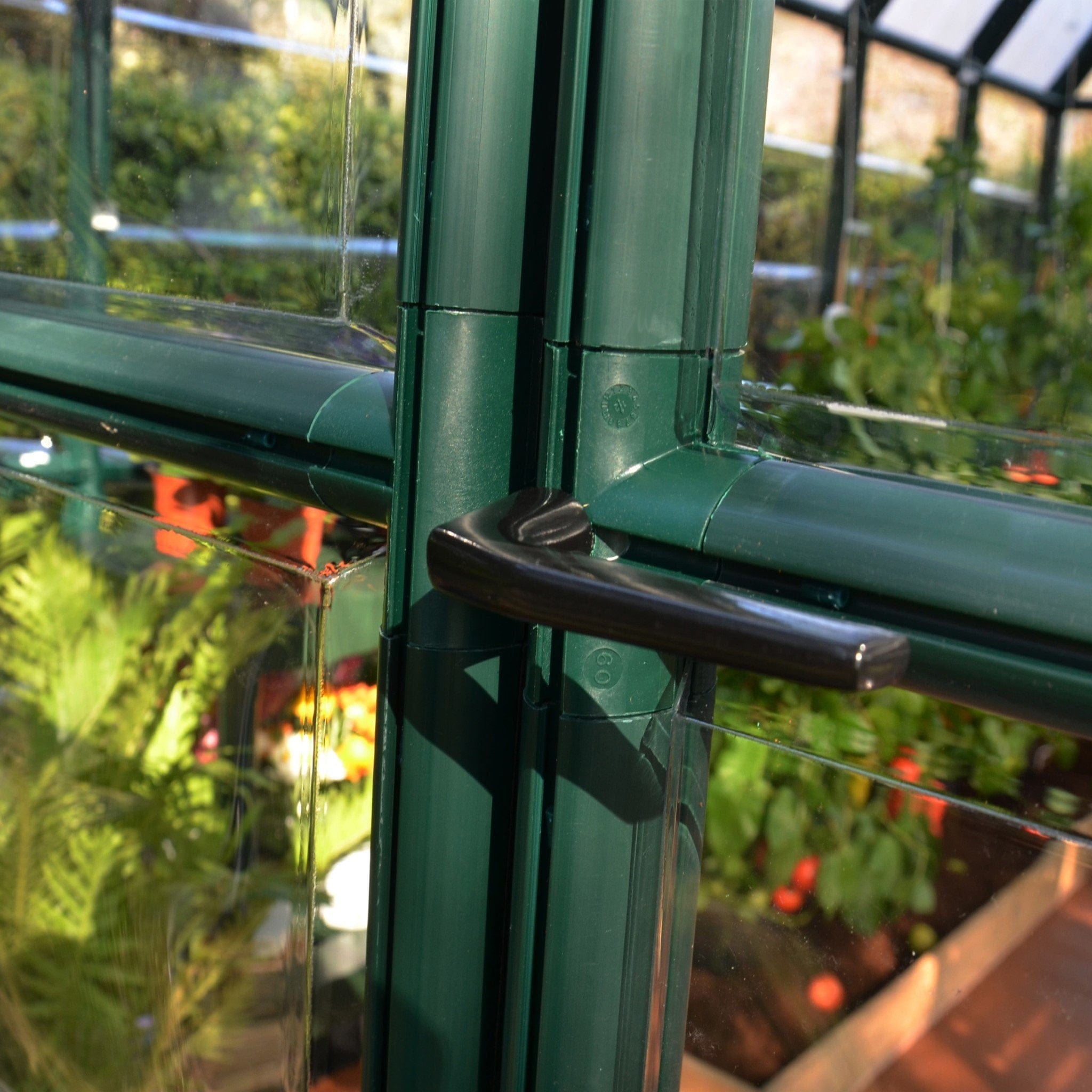 Palram - Canopia | EcoGrow Greenhouse Kit - 6 Ft Wide - Green With 6mm Twin-wall Polycarbonate Glazing