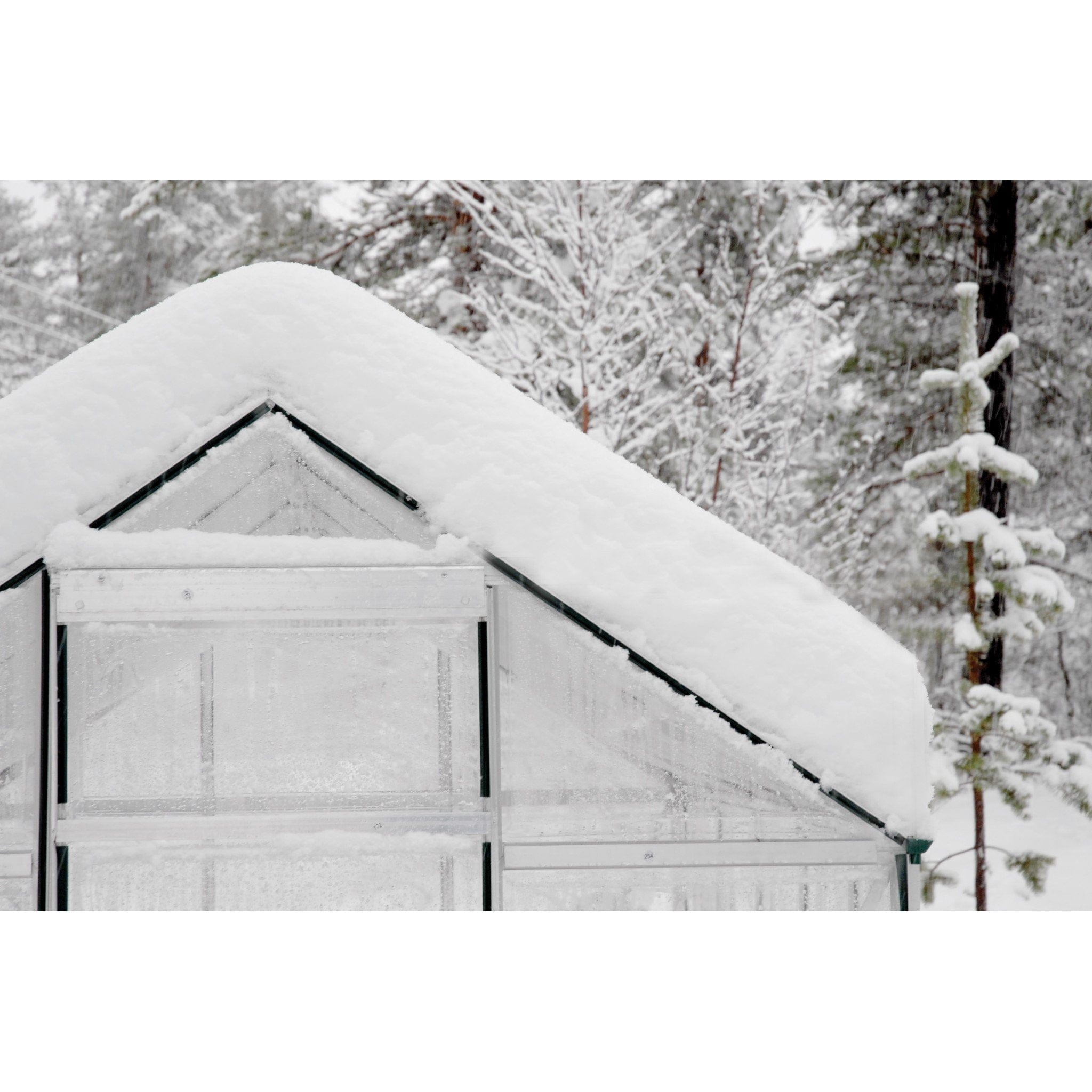 Palram - Canopia | 6X8 ft Hybrid Greenhouse Kit - Green With 0.8mm Polycarbonate Glazing