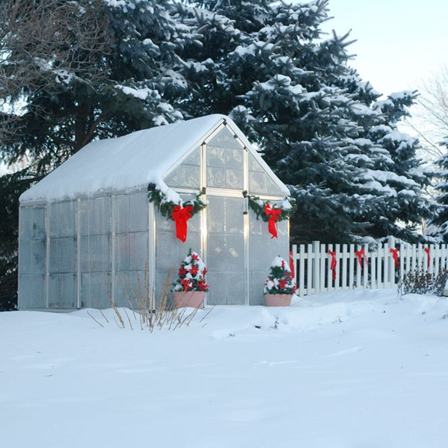 Palram - Canopia | Snap & Grow Greenhouse Kit - 6ft Wide - Silver With 0.8mm Polycarbonate Glazing
