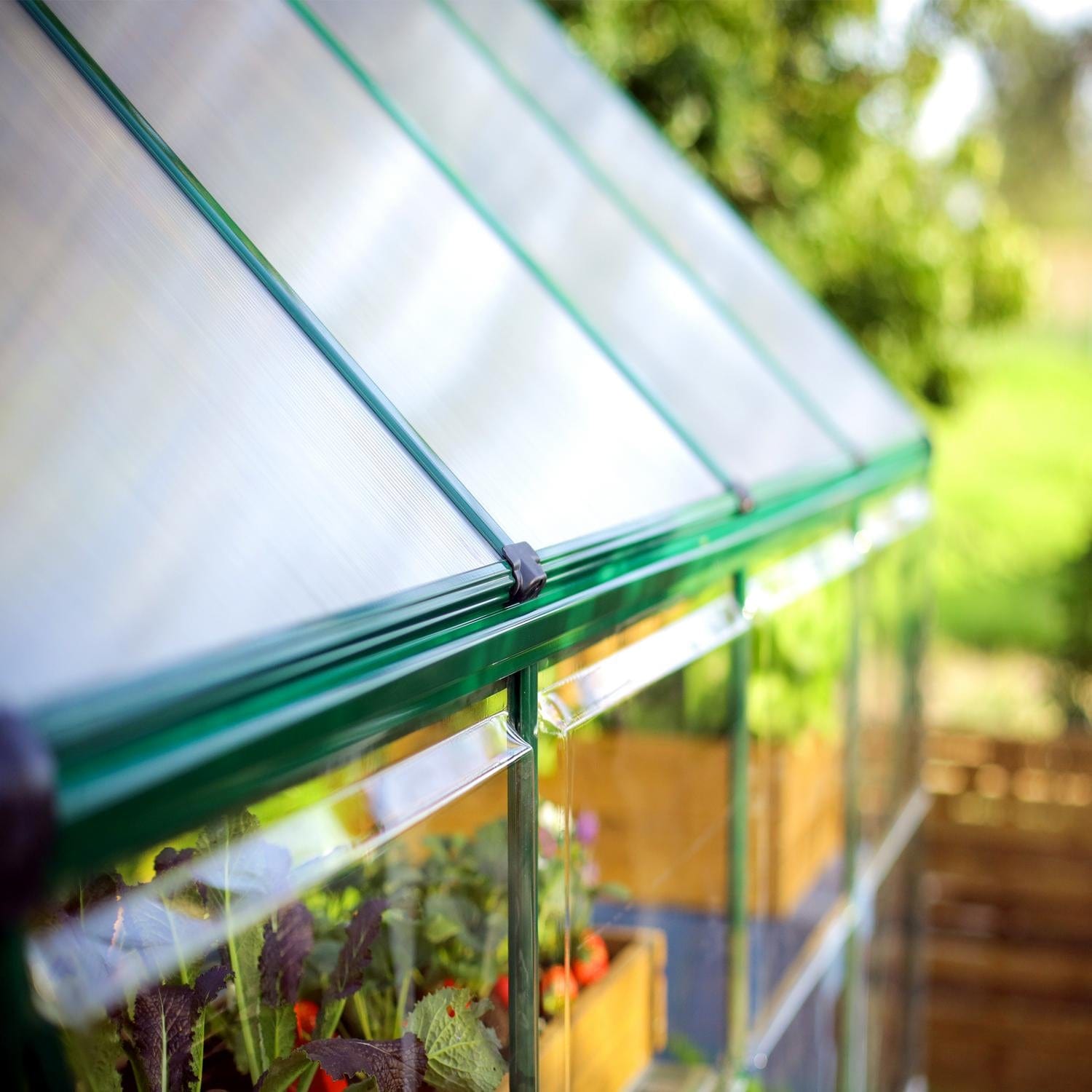 Palram - Canopia | 6x10 Ft Hybrid Greenhouse Kit - Green With 0.8mm Polycarbonate Glazing