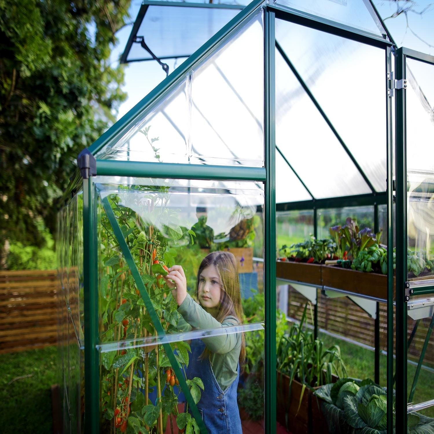 Palram - Canopia | 6x10 Ft Hybrid Greenhouse Kit - Green With 0.8mm Polycarbonate Glazing