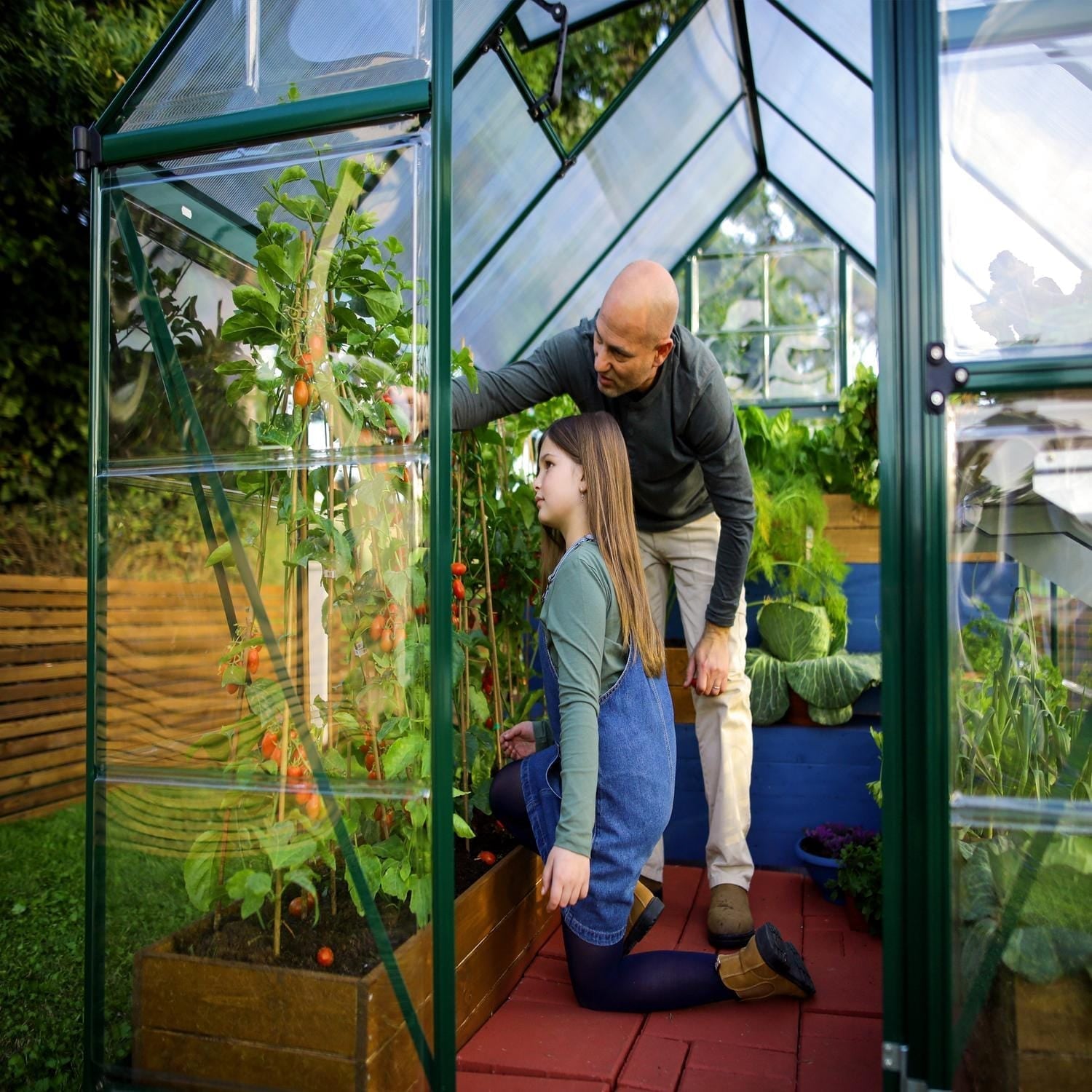 Palram - Canopia | 6x10 Ft Hybrid Greenhouse Kit - Green With 0.8mm Polycarbonate Glazing