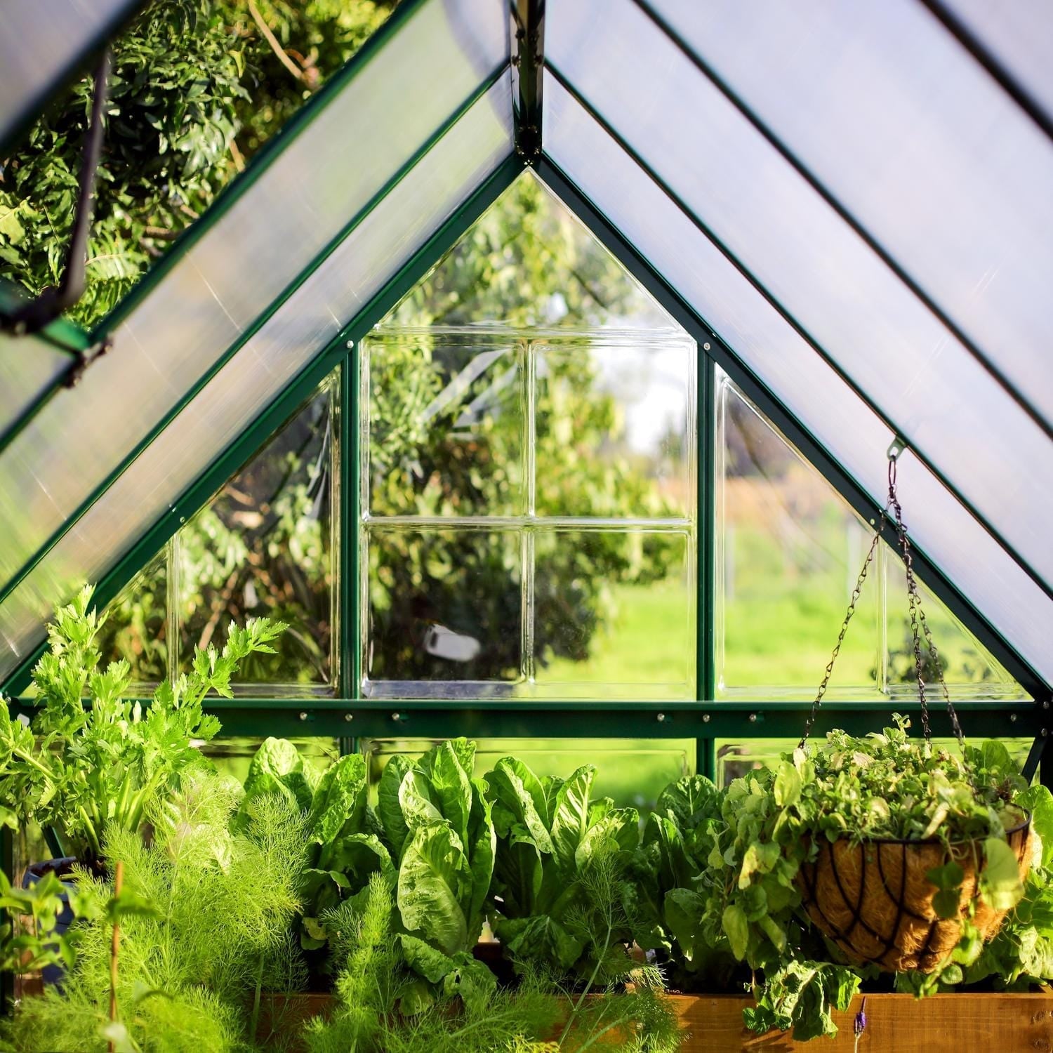 Palram - Canopia | 6x10 Ft Hybrid Greenhouse Kit - Green With 0.8mm Polycarbonate Glazing