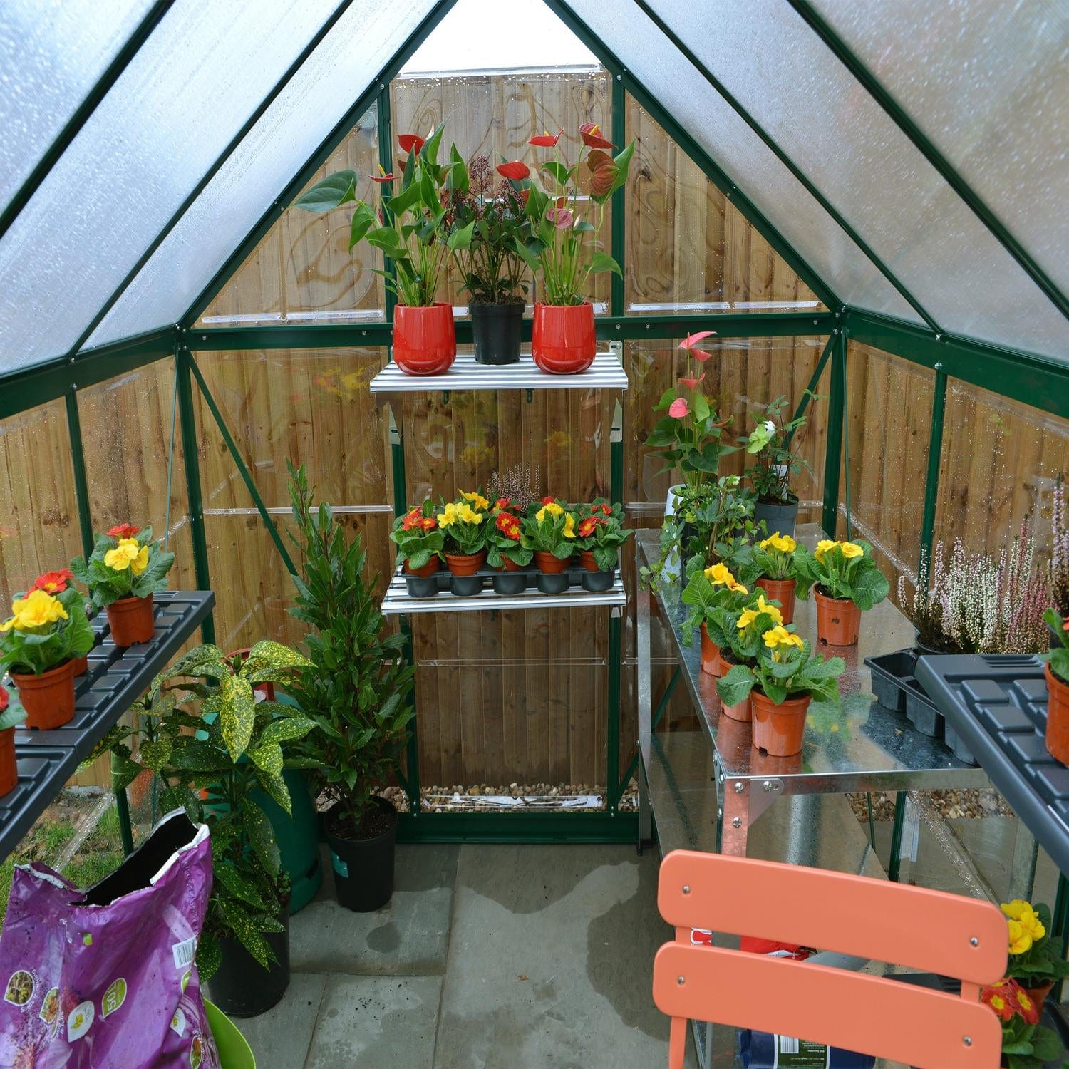 Palram - Canopia | 6x10 Ft Hybrid Greenhouse Kit - Green With 0.8mm Polycarbonate Glazing
