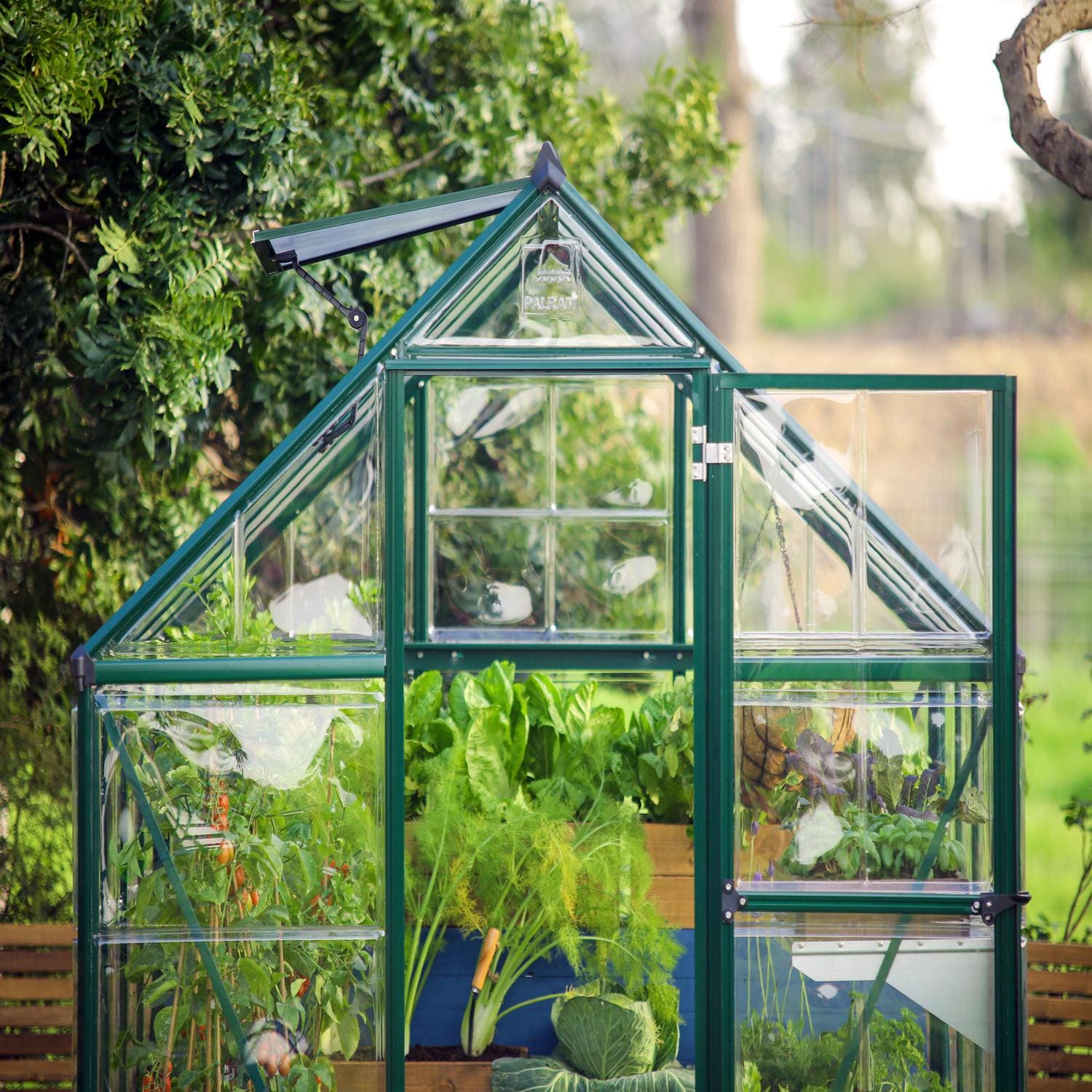 Palram - Canopia | 6x10 Ft Hybrid Greenhouse Kit - Green With 0.8mm Polycarbonate Glazing